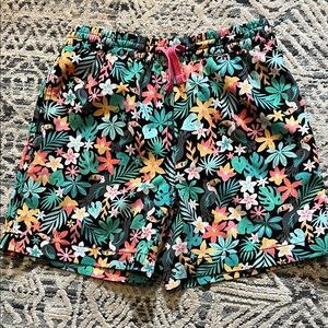 Chubbies swim trunks